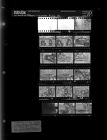 Cucumber Picker Ad (16 negatives), June 18-25, 1966 [Sleeve 55, Folder b, Box 40]